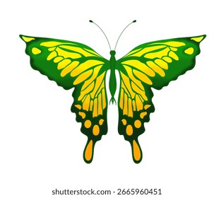 Grande mariposa sin fondo amarillo con verde, una pequeña transición de color en las alas