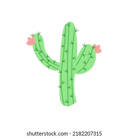 Large cactus with pink flowers. vector illustration. mexican cactus desert plant.