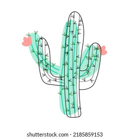 Large cactus with pink flowers. vector illustration. mexican cactus desert plant.