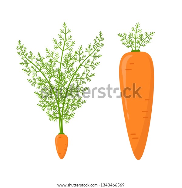 carrot principle download