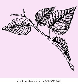 Large Caterpillar Crawling On Thin Branch Doodle Style Sketch Illustration Hand Drawn Vector 