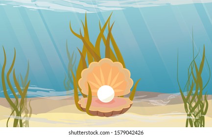 Large clam shell with white pearl. The bottom of the sea or ocean. Realistic vector underwater landscape