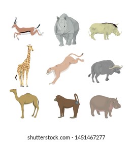 large collection of african animals