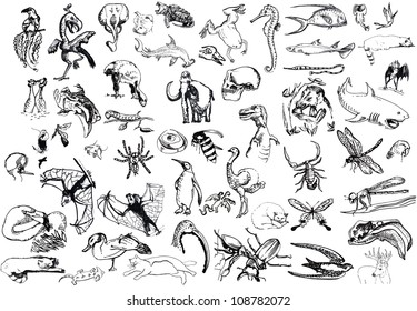 large collection of animals - hand drawing converted to a vector