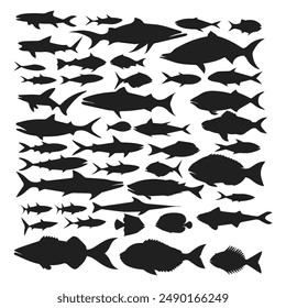  large collection of aquatic life vectors - fish silhouette collection Vector