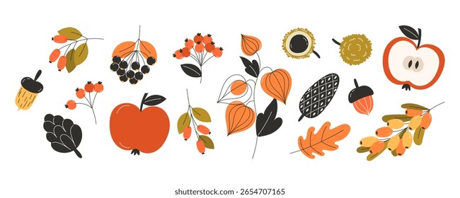 Large collection of autumn fall fruits berries and nuts in flat style featuring apples red berries acorns leaves and seasonal harvest elements for decorative design