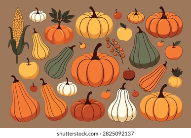 Large collection of autumn harvest items includes various orange pumpkins squashes yellow corn apples and red berries on brown background.