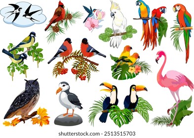 Large collection of birds.Vector color illustration with a set of birds and plant decor.