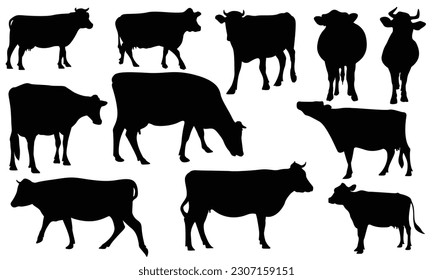 Large Collection of black Cow silhouettes in different poses