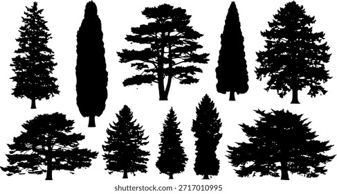 large collection of black deciduous and coniferous forest tree silhouettes in various organic shapes isolated on white background