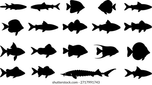 Grande colección de siluetas de peces negros y Formas de vida acuática