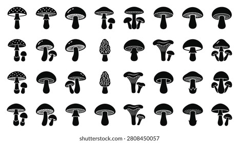 Large collection of black mushroom silhouettes featuring diverse fungal species like fly agaric, morel, and chanterelle isolated on a white background for botanical graphic design.