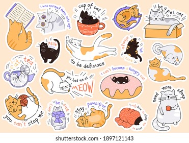 Large collection of cat stickers with text