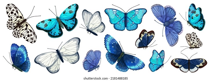 Large collection of colorful blue and white butterflies. Cartoon vector graphics.