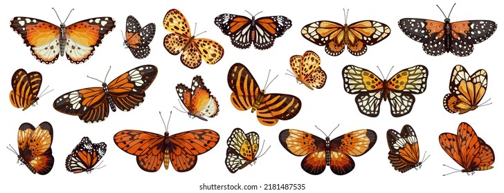 Gran colección de coloridas mariposas monarcas, cola de torta. Gráficos vectoriales de dibujos animados.