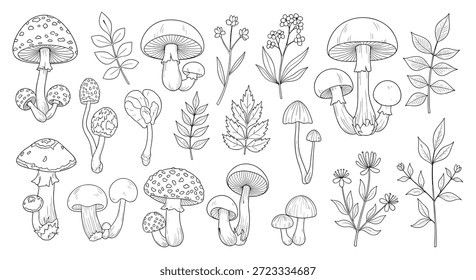 La Grande colección de diferentes setas forestales y plantas frondosas se muestra en una detallada línea de arte botánico ambientada en un campo blanco.