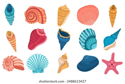 Large collection of different seashells on a white background