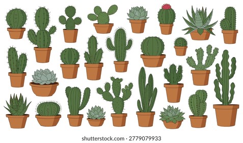 Large collection of diverse cactus and succulent plants in terracotta pots arranged in a decorative grid pattern.