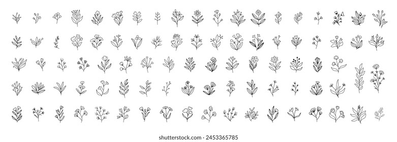 Large collection of doodle floral. Outline branch with flowers. Hand drawn vector art.