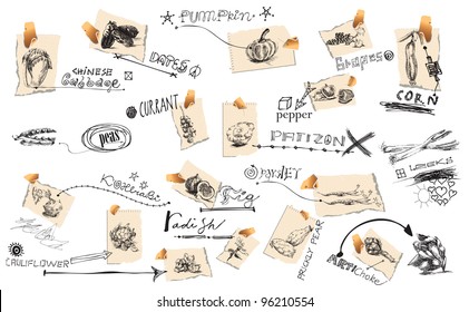 large collection of fruit and vegetables, including labels (inscriptions)