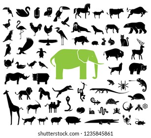動物 ピクト の画像 写真素材 ベクター画像 Shutterstock