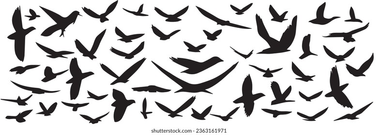 Gran colección de silueta de aves voladoras dibujadas a mano. Conjunto de silueta de aves voladoras. Ilustración vectorial.