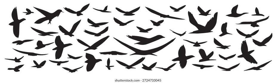 Grande colección de la silueta de pájaros voladores dibujados a mano