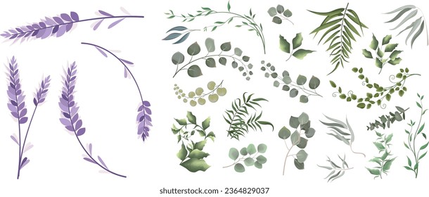 A large collection of herbs and plants. Green plants on a white background. Lavender flowers, eucalyptus and other leaves 