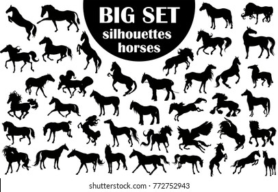 A large collection of horse silhouettes.