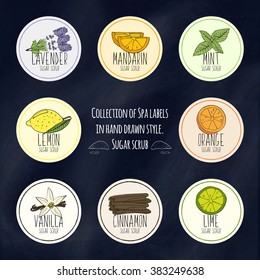 A large collection of labels for decorating packages from body scrubs and face in colorful hand drawn style. Vector illustration