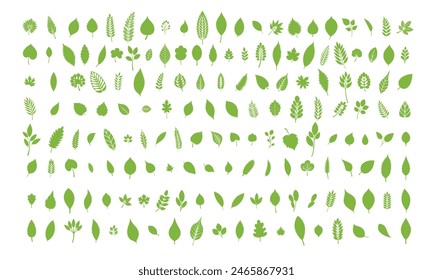 Large collection of leaves in flat style. Hand drawn vector art.