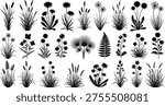 Large Collection of Meadow Grass and Flower Silhouettes Featuring Dandelions Ferns and Wild Plants in a cad drawing flat vector illustration