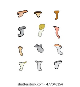 large collection of painted symbols oyster mushroom on white background