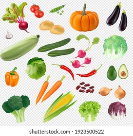 Large Collection Of Realistic Vegetables On A Transparent Background. High Quality Vector 