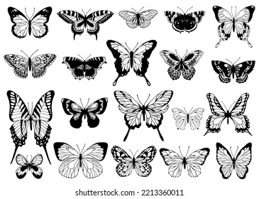 660 Monarch Butterfly Engraving Images, Stock Photos & Vectors ...