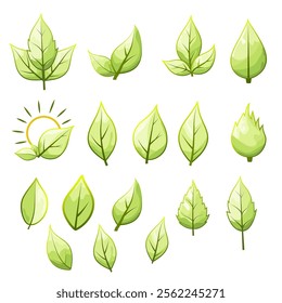 Large collection of stylized green leaf icons. Eco leaf logo.  Elements for clean energy and bio logo, vegan. A collection of leaves in several shades of green. Eco leaf element.