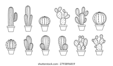 Large collection of twelve different cactus and succulent plants in pots is shown in a black and white line art grid.