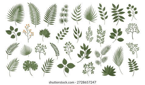 Große Sammlung von verschiedenen grünen Blatt- und Zweigtypen, darunter Palmen, Farne und Eukalyptus für verschiedene botanische Designprojekte.