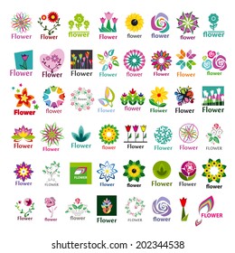 large collection of vector floral icons 
