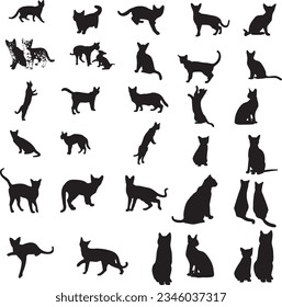 Large collection of vector isolated cats silhouette