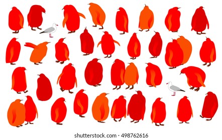 Large colony of funny bright  king penguin chicks and two seagulls isolated on white background. Vector illustration