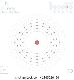 Large and colorful infographic on the element of Tin.