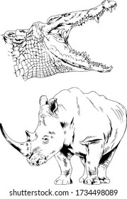 a large crocodile with an open mouth attacks and big rhino drawn in ink by hand