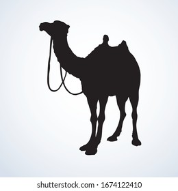 Large cute exotic dromader herbivore pet stand on sky backdrop. Black ink hand drawn eastern zoo fauna livestock logo emblem in modern art contour engrave print style on space for text. Profile view