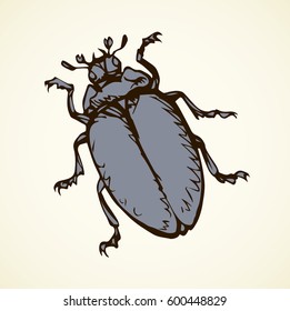 Large cute melolonthinae on white backdrop. Freehand linear dark grey ink color hand drawn picture logo sketchy in art retro scribble style pen on paper. View closeup micro detail with space for text