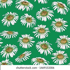 Large daisies on a green background. Seamless vector pattern for textiles.