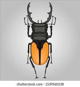 Large dark stag beetle insect bug.