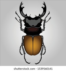 Large dark stag beetle insect bug.