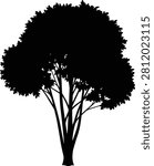 Large deciduous tree silhouette with dense rounded canopy