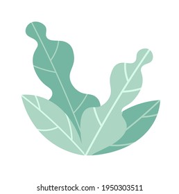 Large decorative green leaves  Vector illustration  Isolated element for design  Pale green tone transparent background 